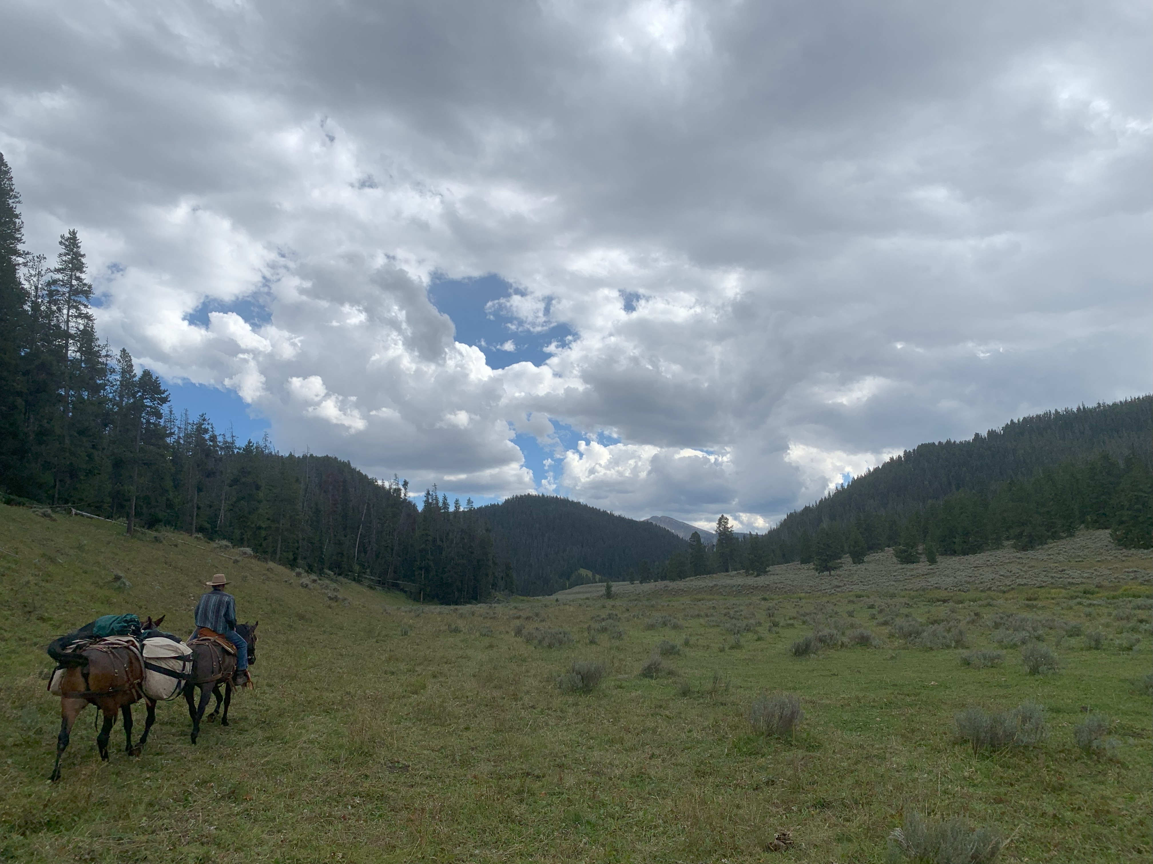 Horse and rider at sunset